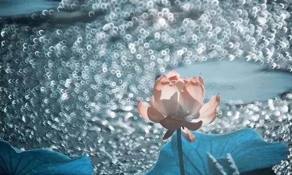 浮华随风，在乎就好