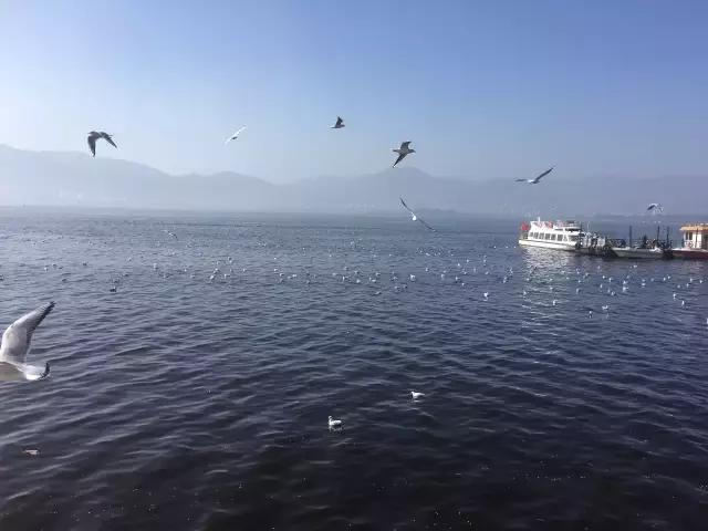 生活，贵在心境平和