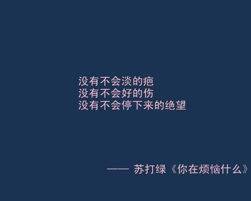 感悟：你不是我，请不要随意评价我
