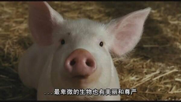 我讨厌道德绑架，但我更怕人情践踏
