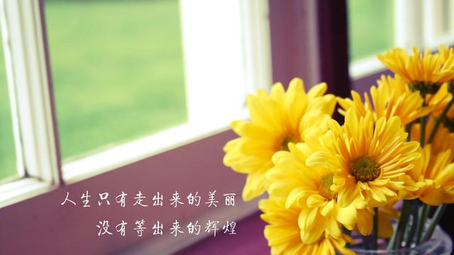 不要让昨日占去太多的今天