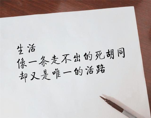 生活像一条走不出的死胡同，却又是唯一的活路