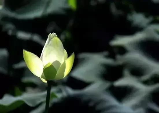 人到中年，争什么呢？（深度好文）