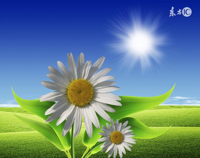 人生一辈子，必须原谅的三个人！