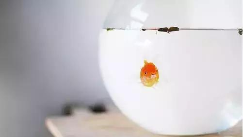 别等失去了，才知道珍惜！