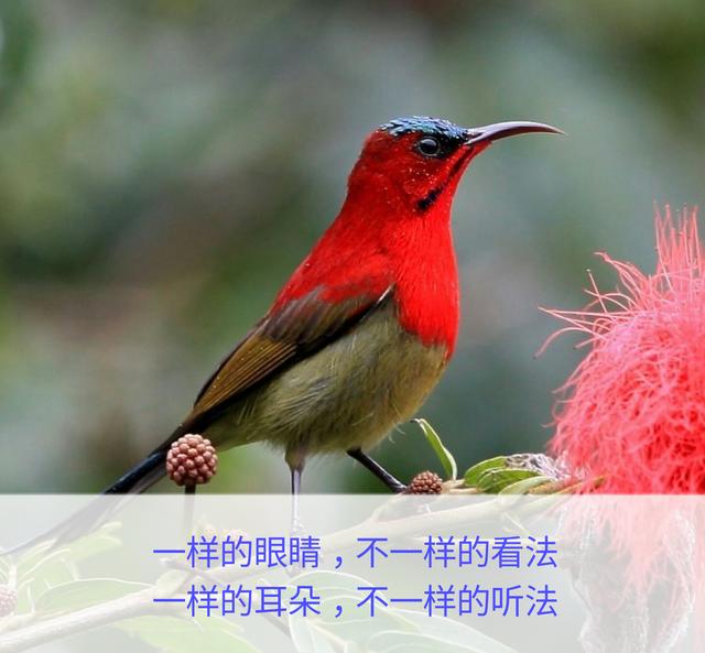 一辈子这么短，咱活着图个啥？