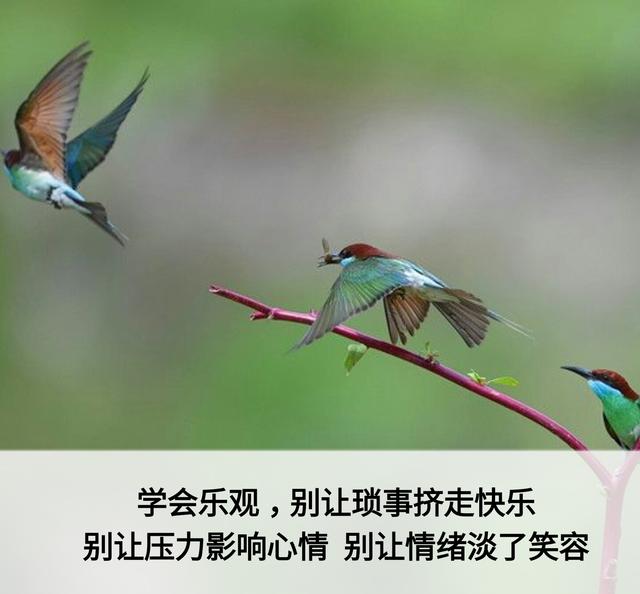 一辈子这么短，咱活着图个啥？