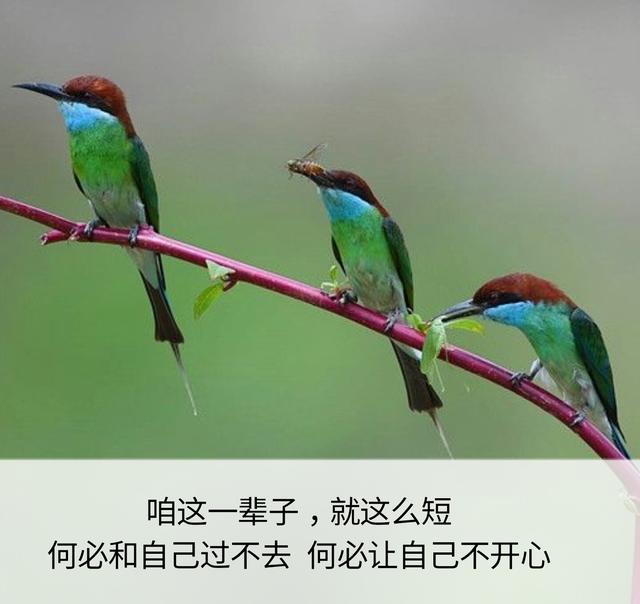 一辈子这么短，咱活着图个啥？