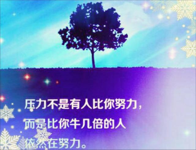做人还是随心的好，任何的收获不是巧合