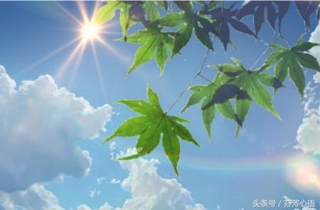 十条智慧箴言：常自醒，莫抱怨