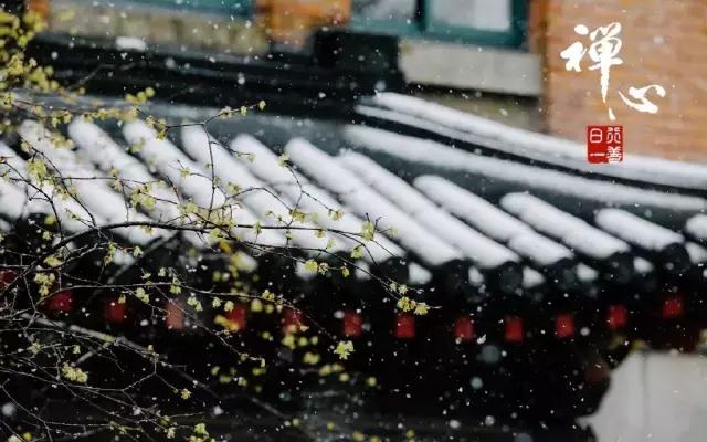 时间的渡口，你我皆是过客