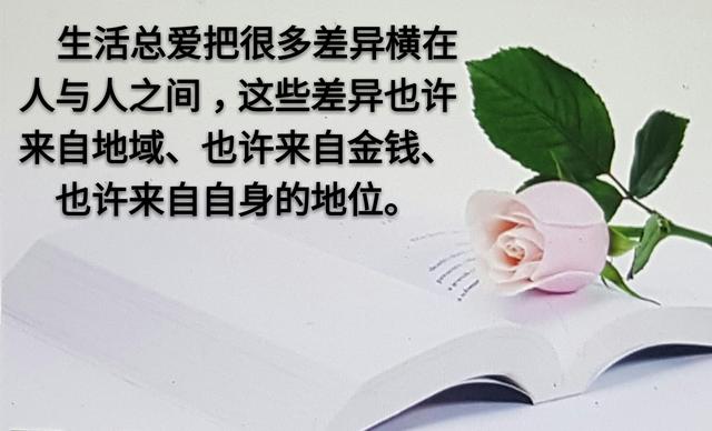 人和人之间，为什么变得越来越淡？