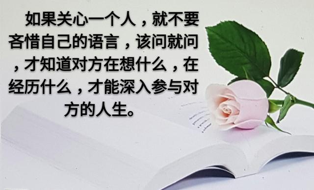 人和人之间，为什么变得越来越淡？
