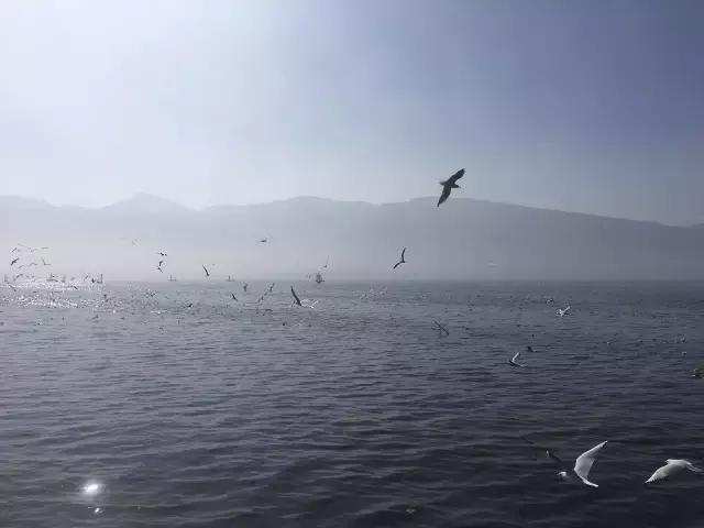 生活，贵在心境平和