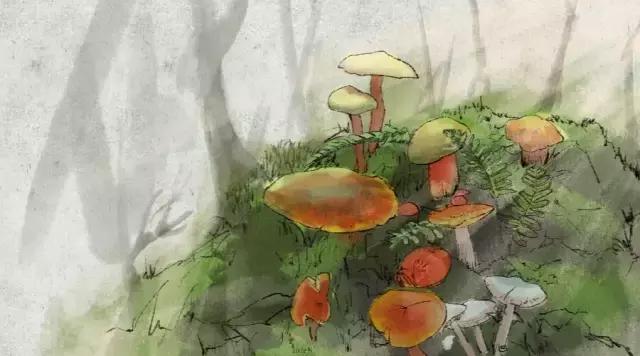 生活，简单也是幸福