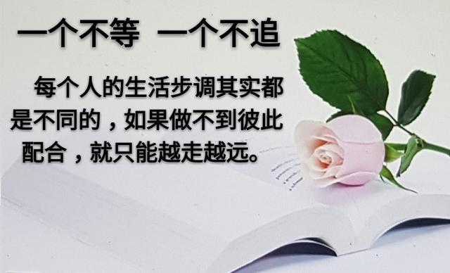 人和人之间，为什么变得越来越淡？