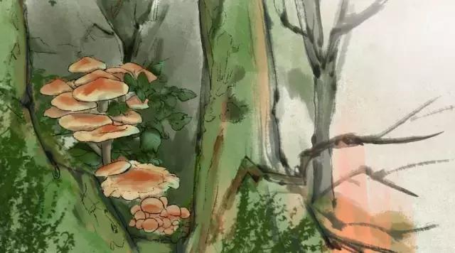 生活，简单也是幸福