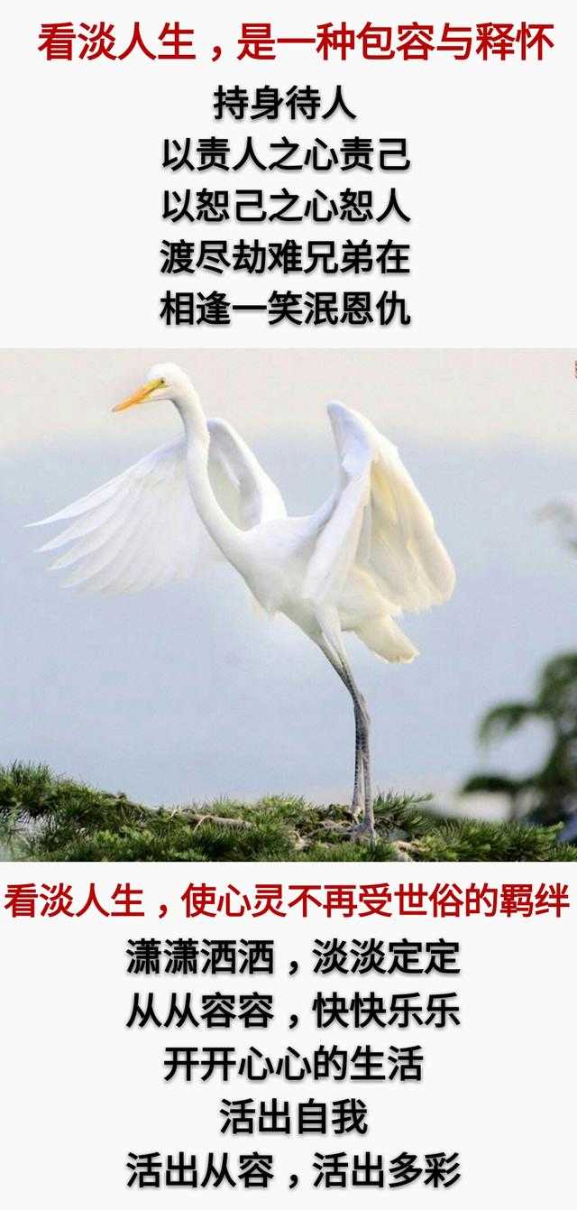 人生：50岁以后，一切看淡「句句精辟」