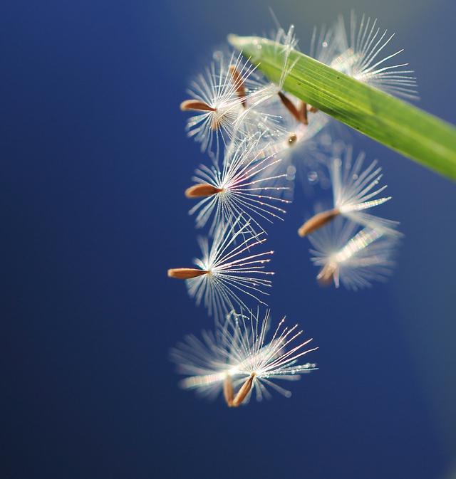 孩子，经年流转，你应该明白的一些道理