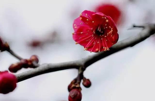 人这辈子，无论做什么，都要铭记这几条