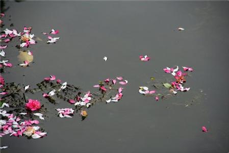 流水落花春去也，天上人间！