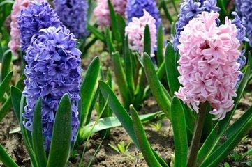 珍 惜（好文）