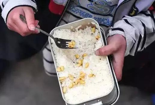 那些年，农村孩子上学带过的饭盒，吃过的人，看哭了