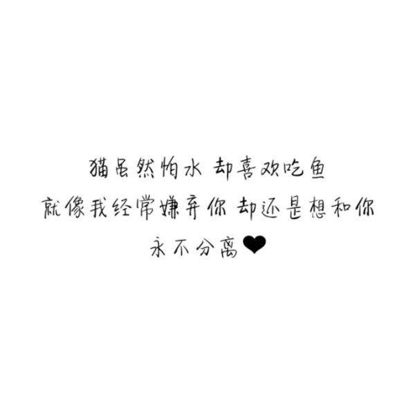 我是一个爱笑的人，却不是一个快乐的人