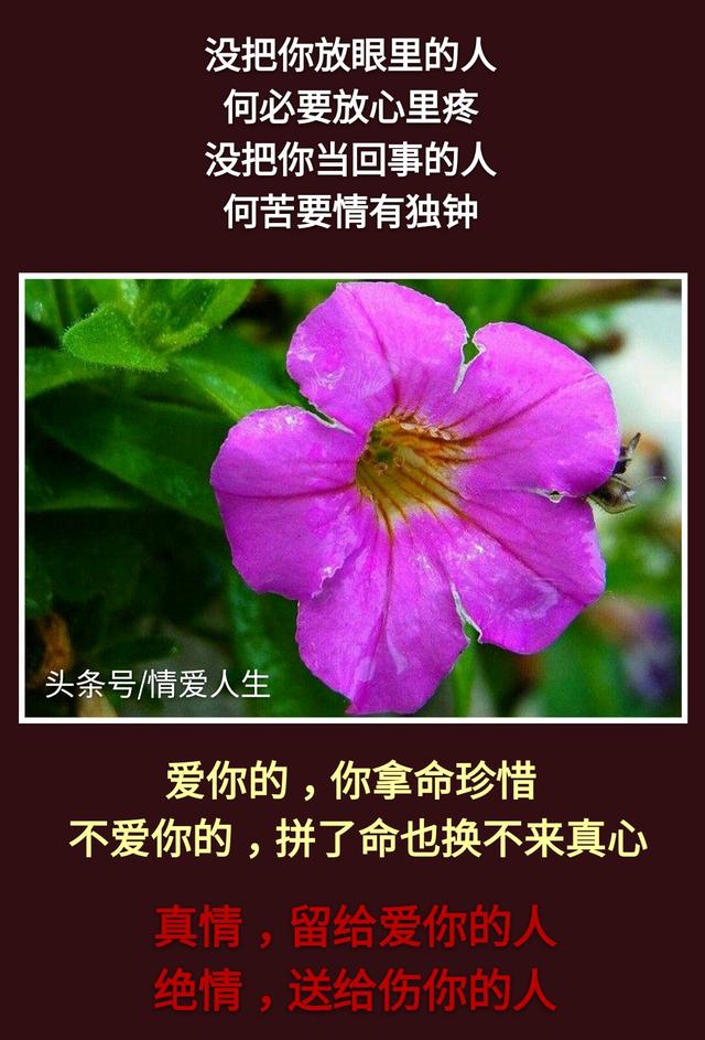 不是你的别去强求！离去的，都是风景；留下的，才是人生