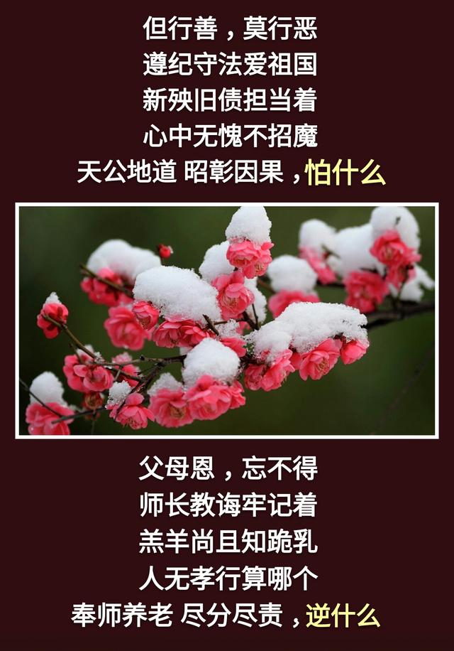 人生：一不急，二不比，三不怕，四不逆，五不馋，六不妒，七不悔