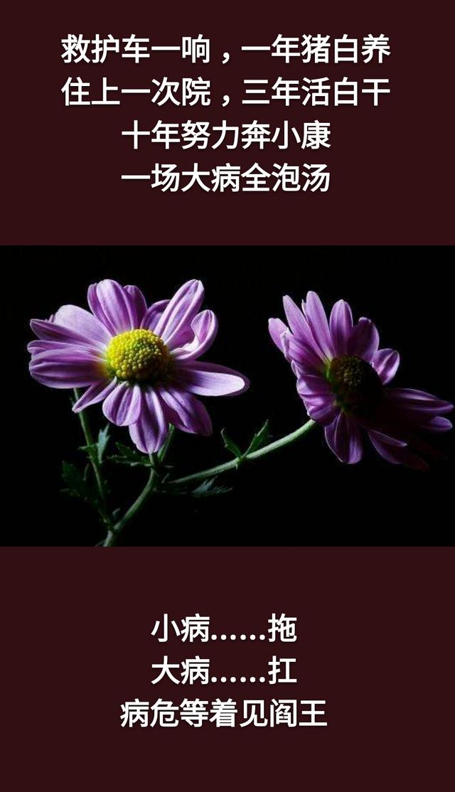 人生在世：千万不要，千万不要，千万不要说你有钱！「句句精辟」