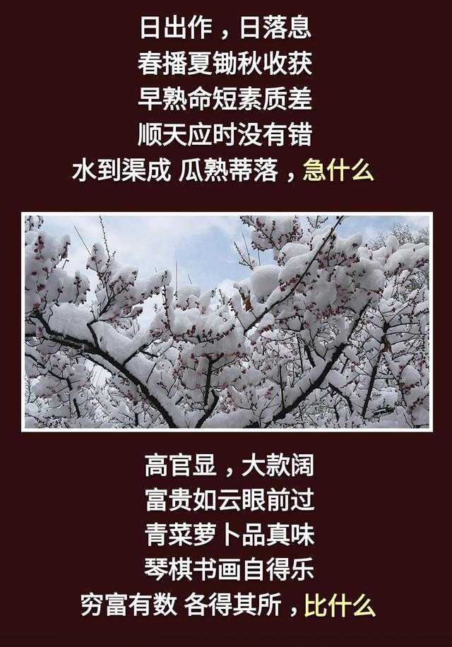 人生：一不急，二不比，三不怕，四不逆，五不馋，六不妒，七不悔