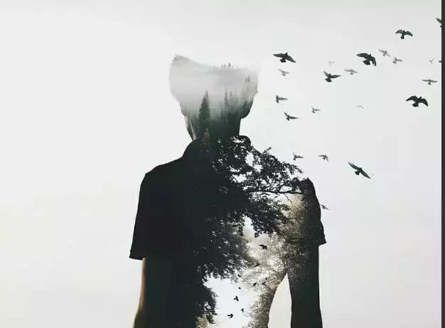 一个虚伪的人会是什么样子？