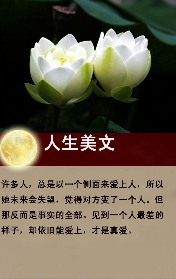 那摧枯拉朽的爱，那繁花似锦的毁灭