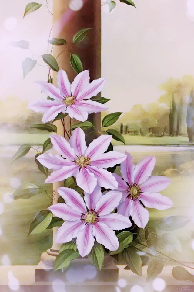 这些知识够冷，涨姿势了