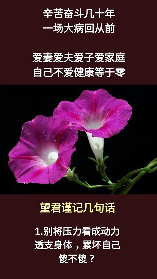 人生在世：千万不要，千万不要，千万不要说你有钱！「句句精辟」
