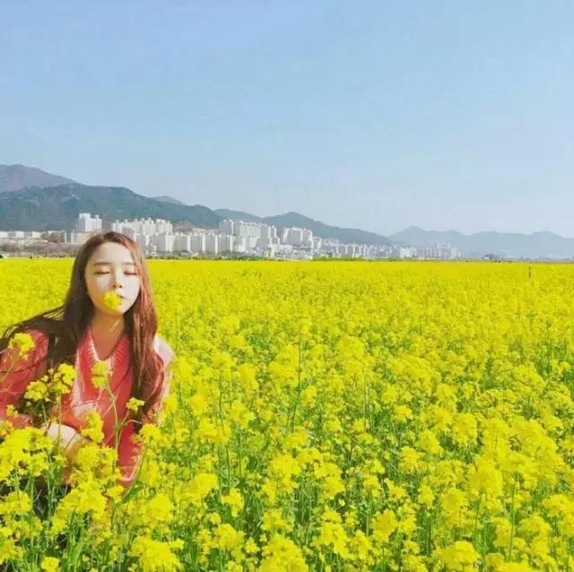 这些都不知道，怎么谈恋爱！