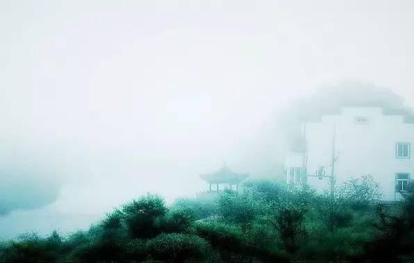 涵 养（写的真好）