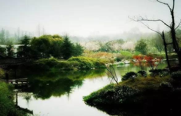 涵 养（写的真好）