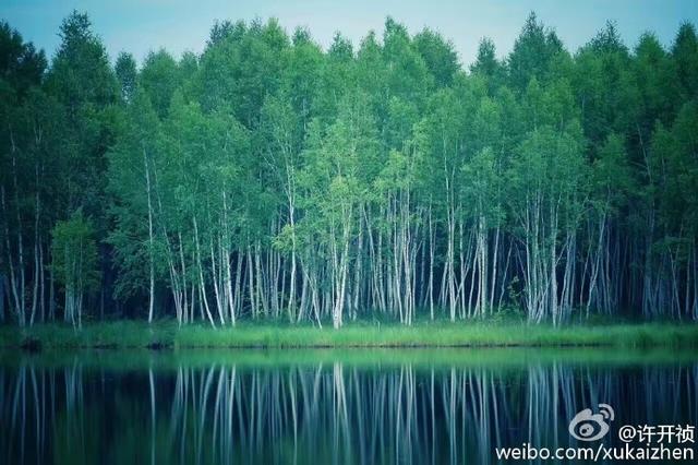 人生真的需要来一次卡伦