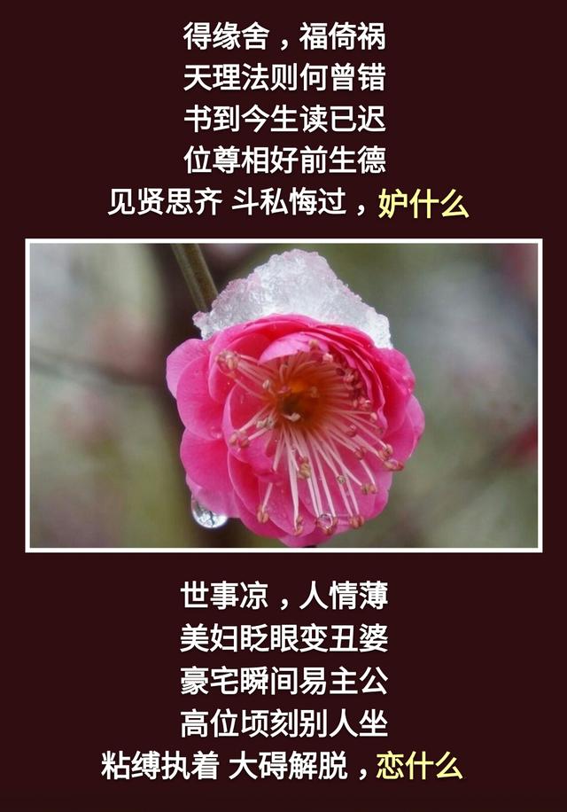 人生：一不急，二不比，三不怕，四不逆，五不馋，六不妒，七不悔