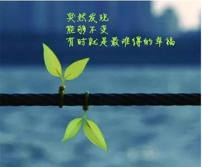 我要感谢这些人
