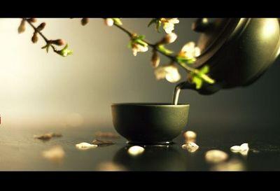 茶语心灵（美文）