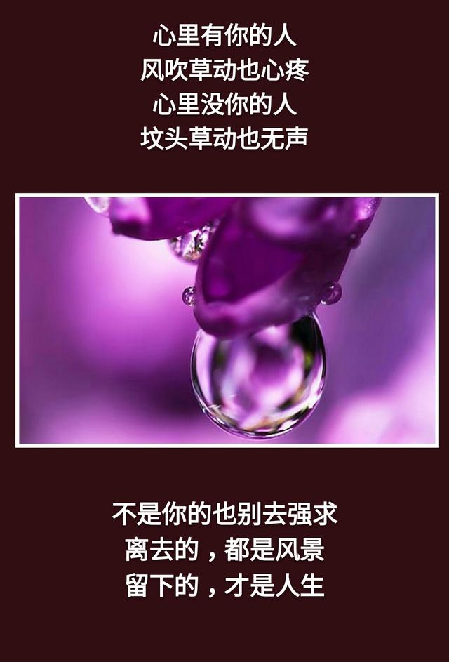 不是你的别去强求！离去的，都是风景；留下的，才是人生