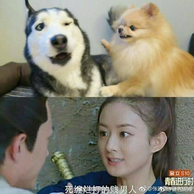 看看赵丽颖与林更新有多配，网友：扛起新颖大旗，没剧的日子，舔舔图吧
