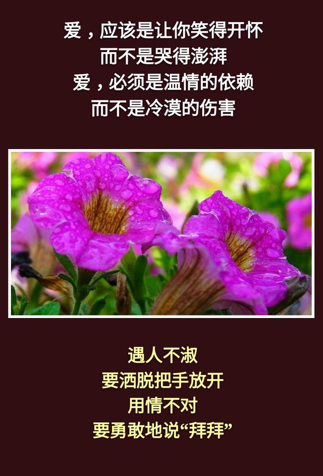 不是你的别去强求！离去的，都是风景；留下的，才是人生