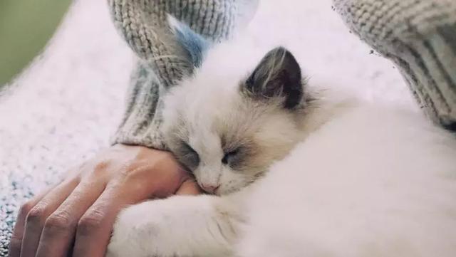 你这么会安慰别人，一定很优秀吧