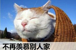 与其羡慕别人不如珍惜自己