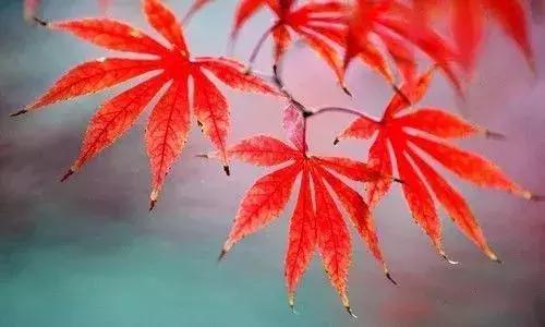 瑞士用时间银行养老，真的太赞了，值得传阅借鉴