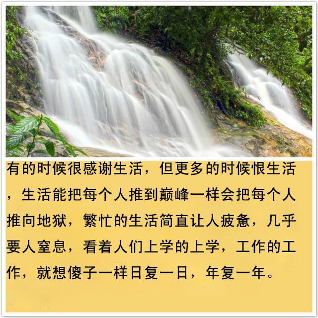 美文：一夜一泣，一生一祈